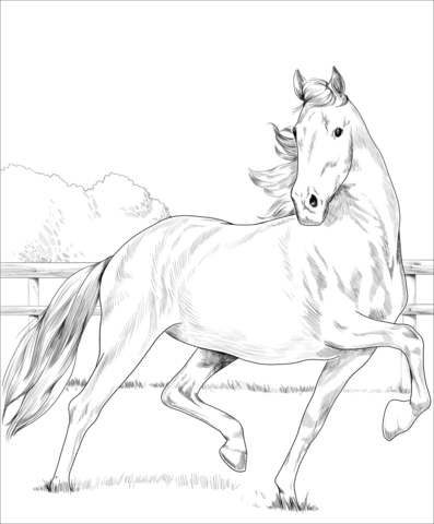 Hackney Horse Coloring Page